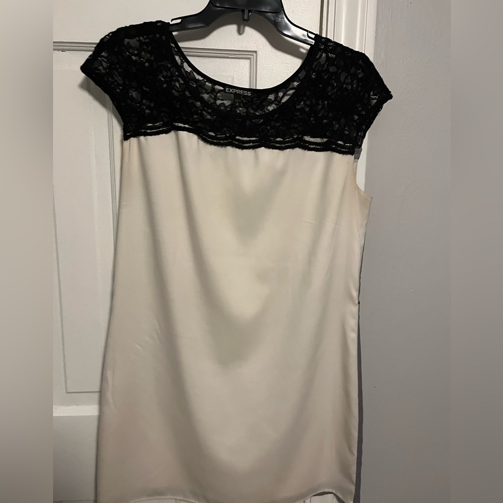 Express lace too dress